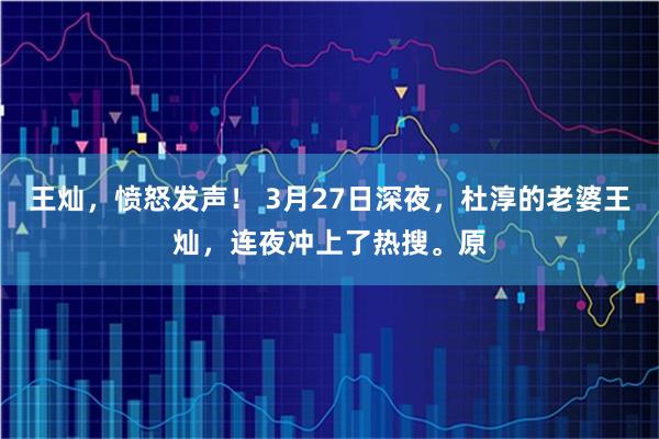 王灿，愤怒发声！ 3月27日深夜，杜淳的老婆王灿，连夜冲上了热搜。原